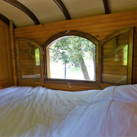 Вилла Domaine Des Bruguieres Entrecasteaux Номер фото