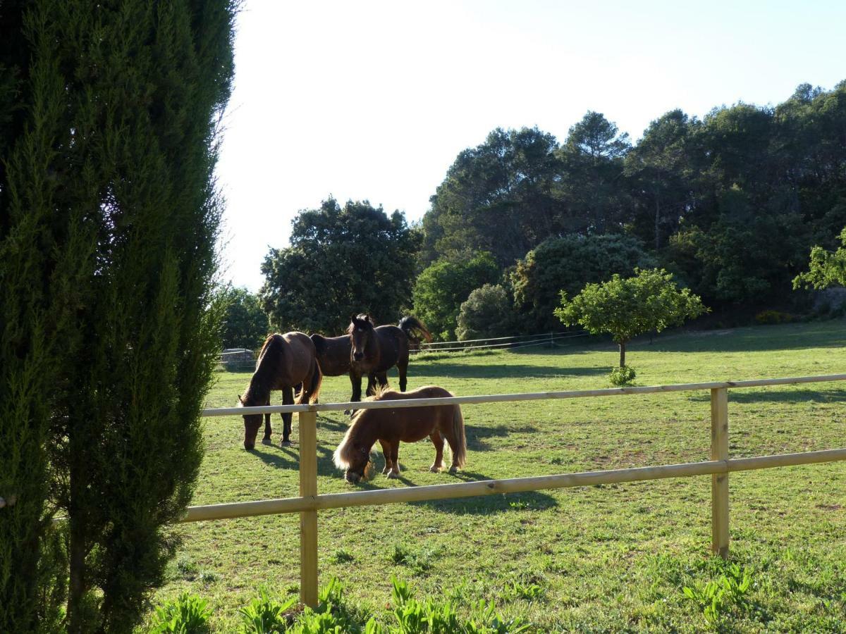 Вилла Domaine Des Bruguieres Entrecasteaux Экстерьер фото